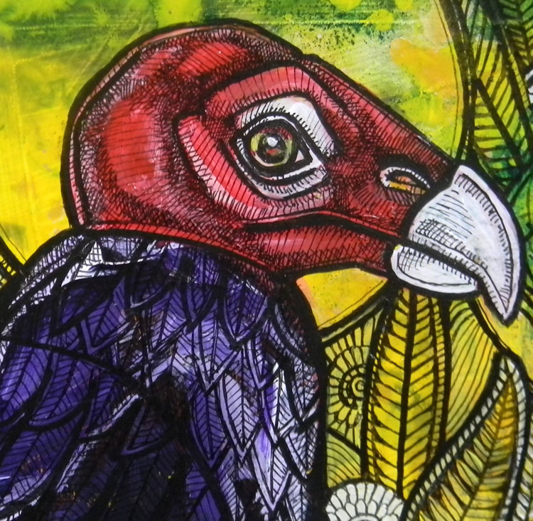 turkey vulture buzzard