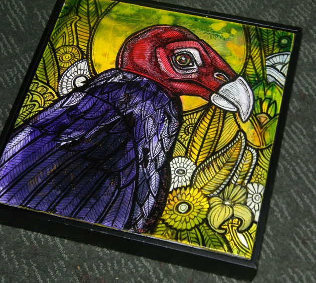 turkey vulture buzzard