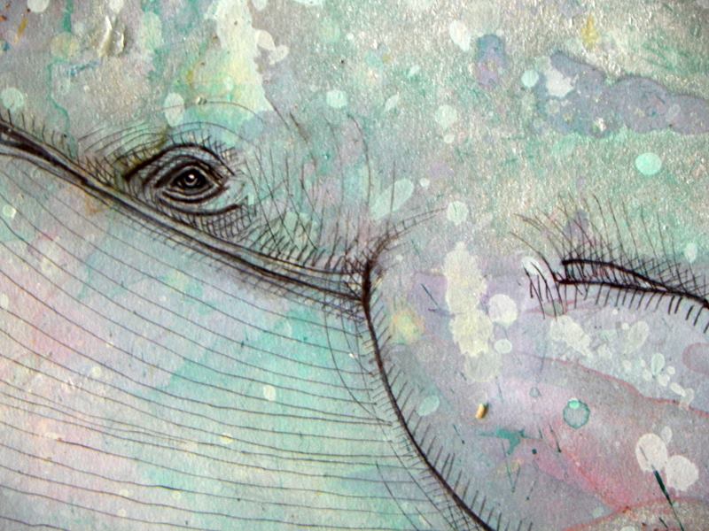 detail of whale art by Lynnette Shelley