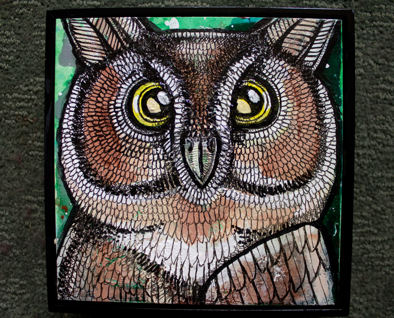 owl art