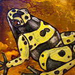 yellow banded poison dart frog art